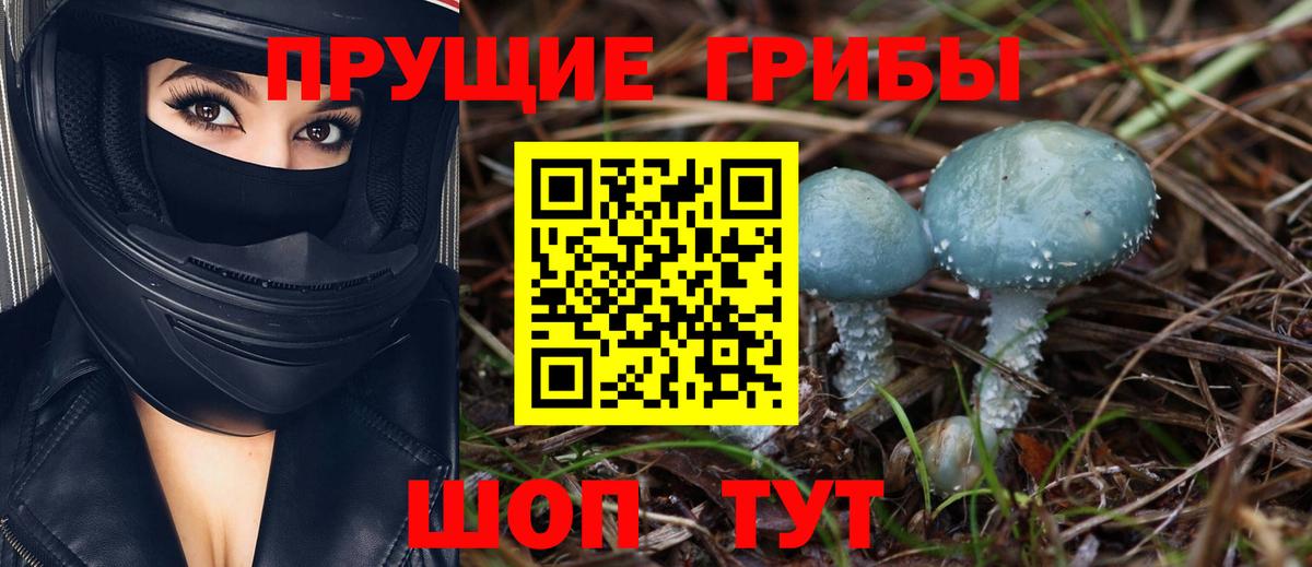 Псилоцибиновые грибы MAGIC MUSHROOMS  Вход с VPN  Луховицы 